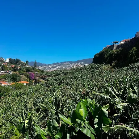 Apartment Vista By Amazing Madeira *