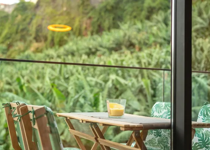 Vista By Amazing Madeira * Φουνκάλ